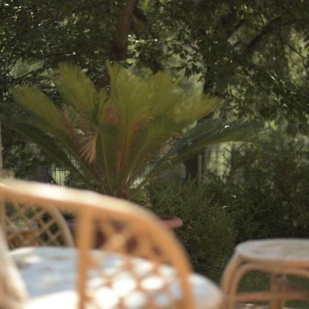 B&B Dei Fiori Praia a Mare Εξωτερικό φωτογραφία