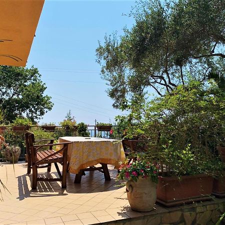B&B Dei Fiori Praia a Mare Εξωτερικό φωτογραφία