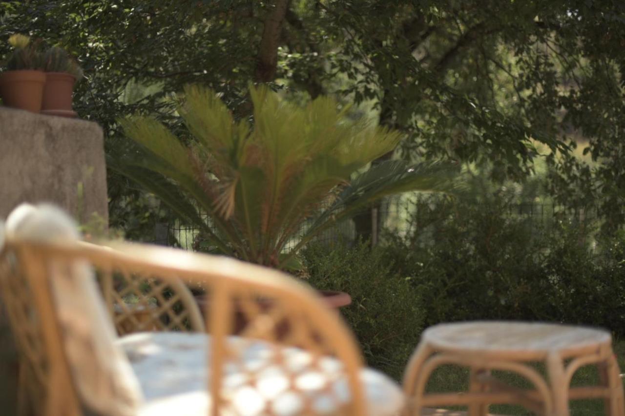 B&B Dei Fiori Praia a Mare Εξωτερικό φωτογραφία