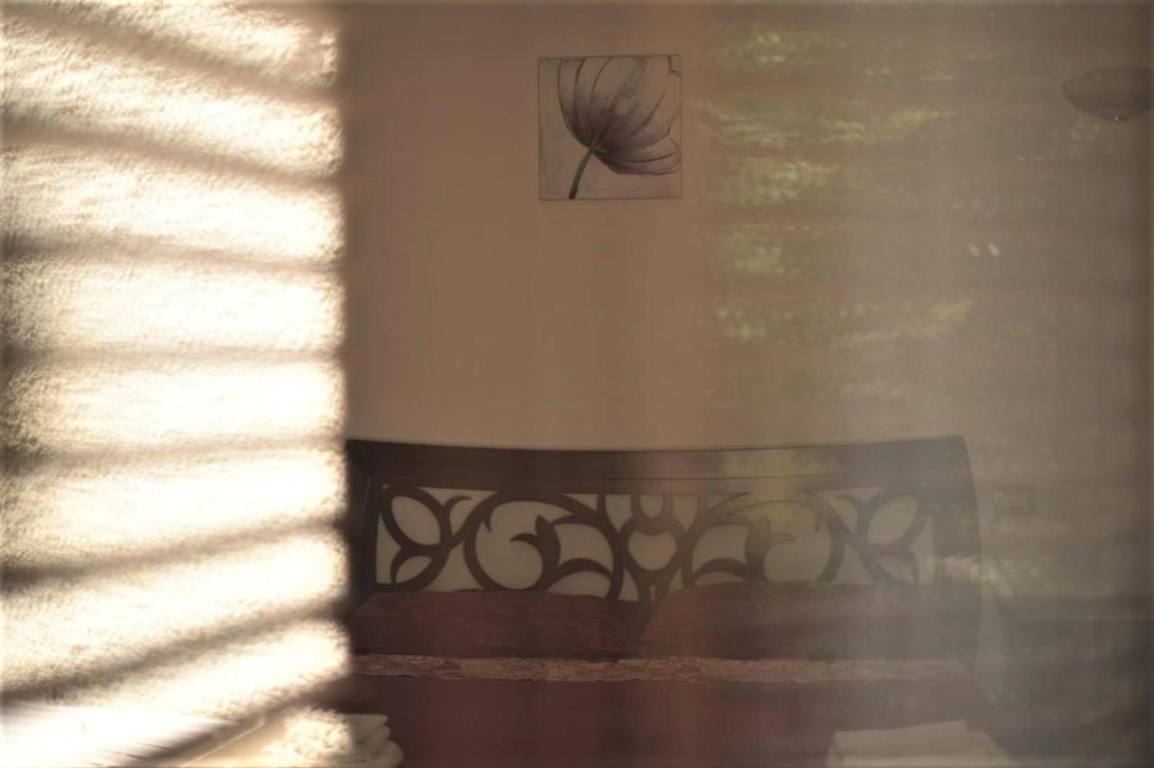 B&B Dei Fiori Praia a Mare Εξωτερικό φωτογραφία