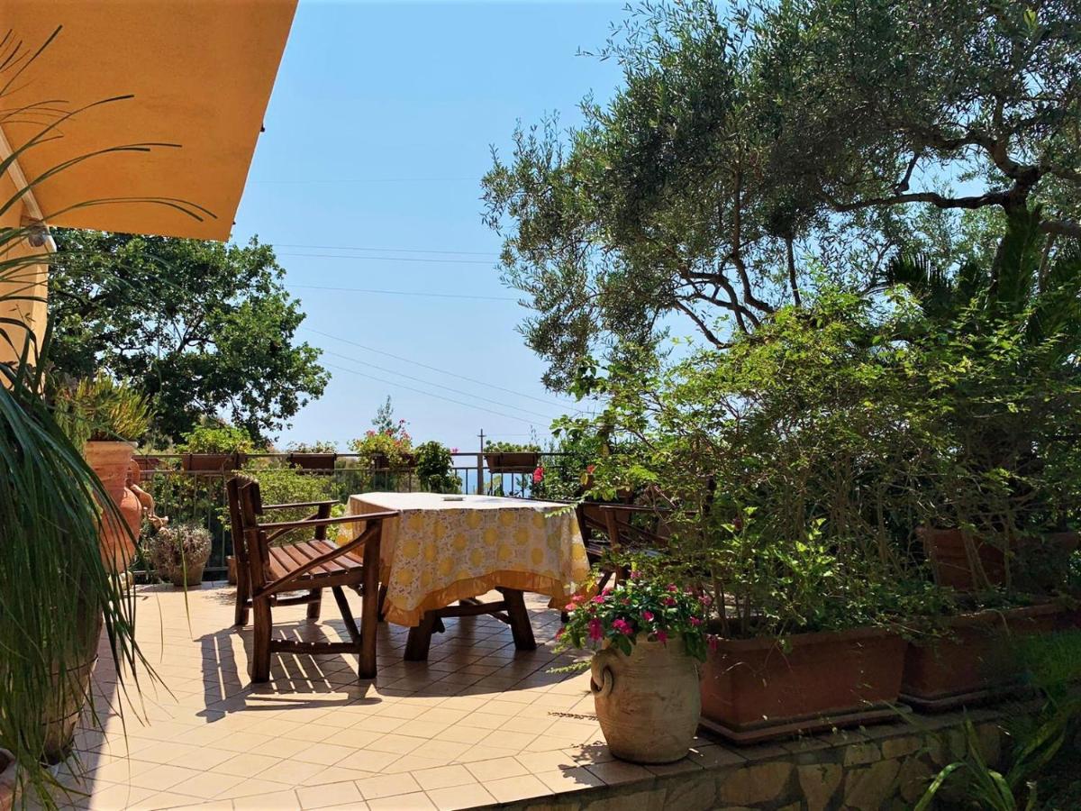 B&B Dei Fiori Praia a Mare Εξωτερικό φωτογραφία
