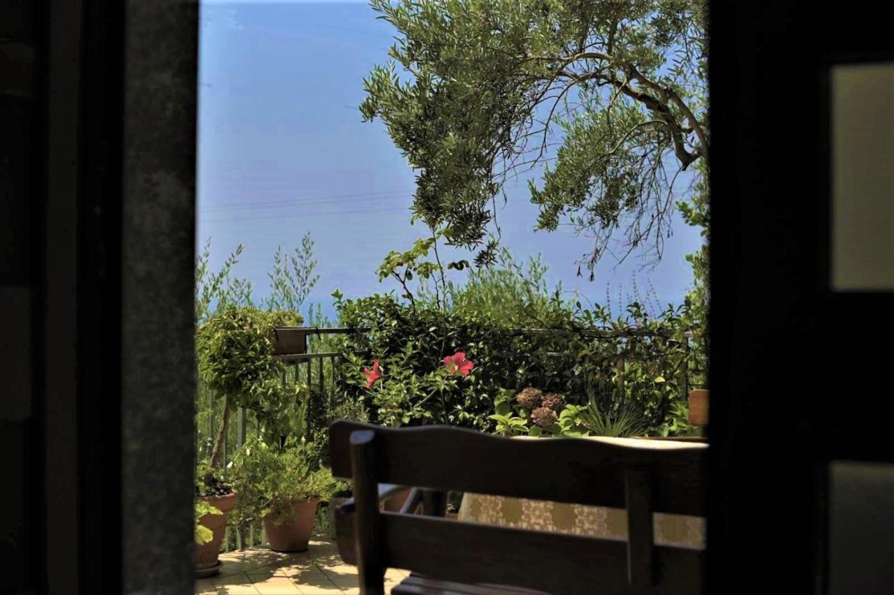 B&B Dei Fiori Praia a Mare Εξωτερικό φωτογραφία
