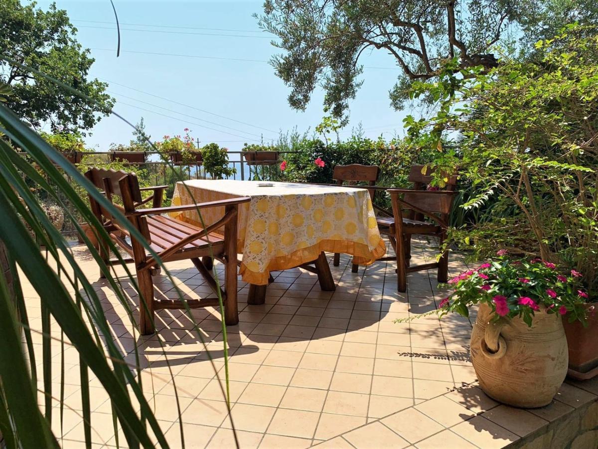 B&B Dei Fiori Praia a Mare Εξωτερικό φωτογραφία