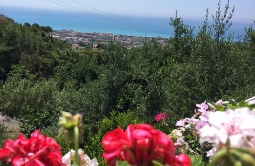 B&B Dei Fiori Praia a Mare Εξωτερικό φωτογραφία