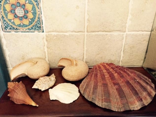 B&B Dei Fiori Praia a Mare Εξωτερικό φωτογραφία