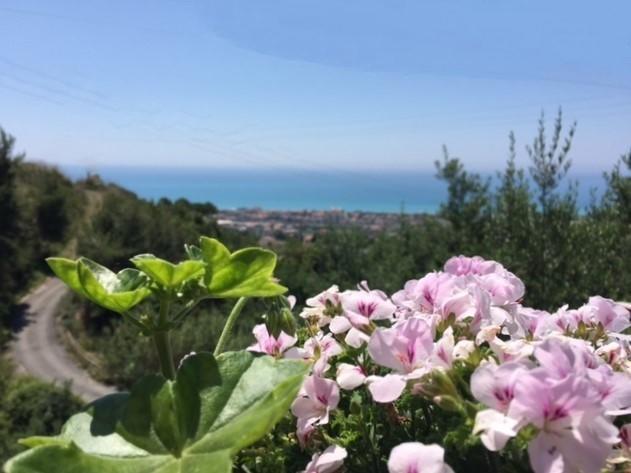B&B Dei Fiori Praia a Mare Εξωτερικό φωτογραφία
