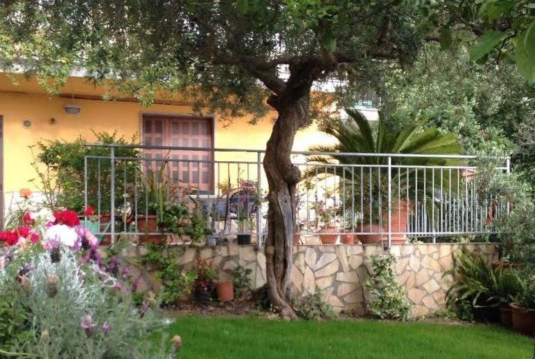 B&B Dei Fiori Praia a Mare Εξωτερικό φωτογραφία