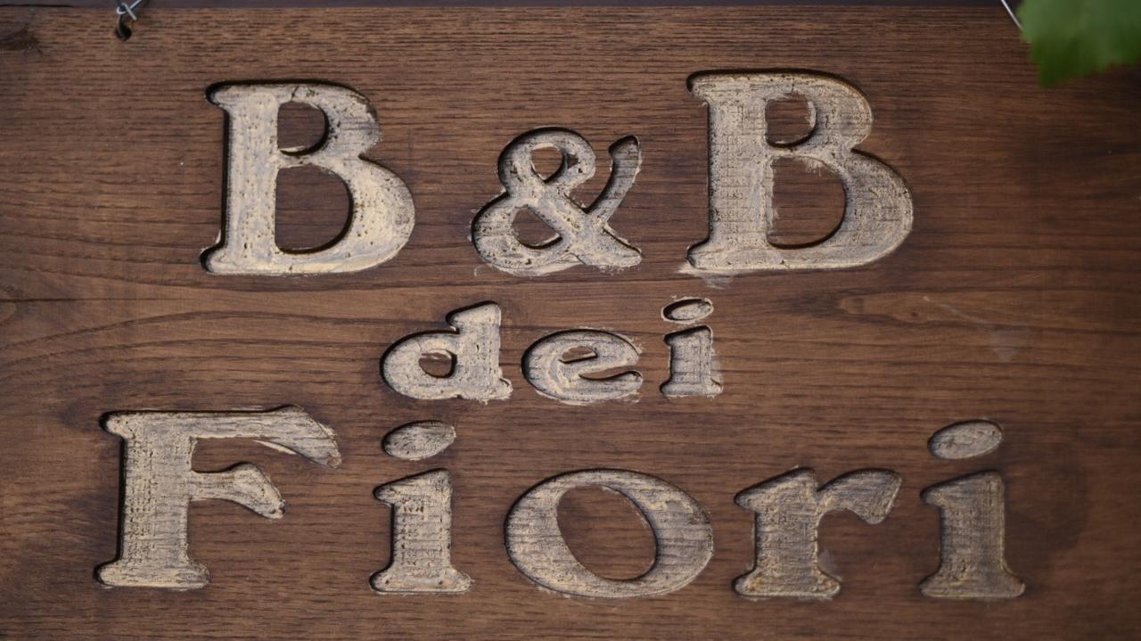 B&B Dei Fiori Praia a Mare Εξωτερικό φωτογραφία