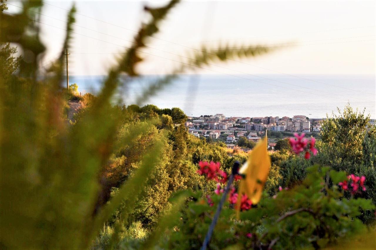 B&B Dei Fiori Praia a Mare Εξωτερικό φωτογραφία